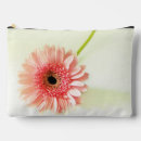 Recherche de gerbera accessoires Pétales