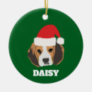 Search for beagles ornaments For pets
