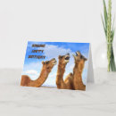 Search for funny camel birthday cards Co worker