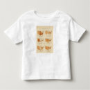 Recherche de proportions tshirts États