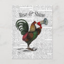 Recherche de coqs cartes postales Antique