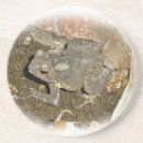 Recherche de crapaud dessous de verres Nature