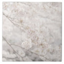 Recherche de croissance carreaux Jour