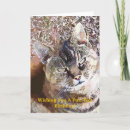 Search for tabby cats cards Watercolor