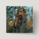 Recherche de mousses badges Usa