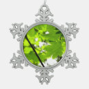 Recherche de gouttes pluie ornements Nature