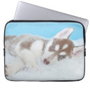 Search for husky laptop cases Puppy