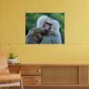 Recherche de babouin art Faune