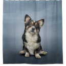 Search for corgi shower curtains Canine