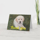 Recherche de extraction vœux cartes Doré