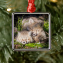 Search for red fox ornaments Young animal