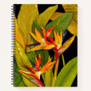 Recherche de paradis carnets Oiseau de paradis