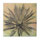 Recherche de plante carreaux Botanique