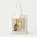 Search for studio shot bags Baby animals