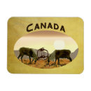 Search for carib magnets Reindeer
