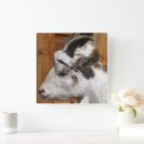 Recherche de chèques art Mignon
