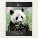 Search for home photography office supplies Nature