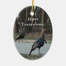 Search for thanksgiving turkey ornaments Animals
