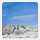 Search for cowboy on horse stickers Equestrian