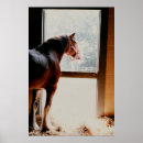 Recherche de geldings posters Cheval