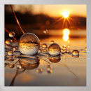 Search for light reflection posters Water