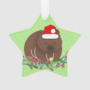 Search for animal star ornaments Santa