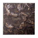 Search for rough texture tiles Stone