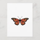Search for light orange postcards Butterfly