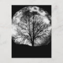 Recherche de silhouette de loup cartes postales Lune