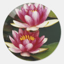 Search for large format stickers Superstock