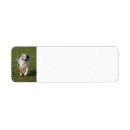 Search for australian shepherd puppy return address labels Pet