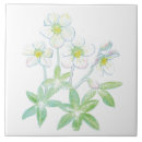 Recherche de roses de noël carreaux Floral