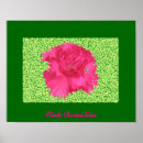 Recherche de oeillets posters Jardin