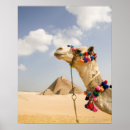 Search for giza pyramids posters Middle east