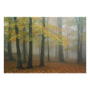 Search for autumn mist art Pattern