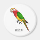 Search for parrot magnets Bird
