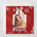 Recherche de chats drôles noël cartes Photo de chien