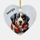 Recherche de berner ornamente Chien de montagne bernois