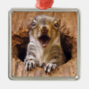 Search for shocking ornaments Shocked