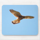 Search for hawk mousepads Flight