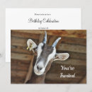 Search for goat invitations Cute