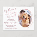 Search for funny dog save the dates Engagement