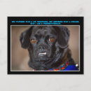 Recherche de canine cartes postales Drôle