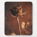 Search for decay electronics Brown