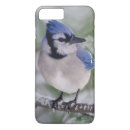 Search for blue jays iphone cases Nature