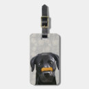 Search for bones travel accessories Animals