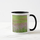 Search for drummond mugs Wildflower