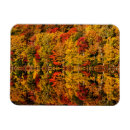 Search for pond reflection magnets Fall