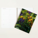 Search for fern planners Plants