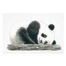 Search for cute bear illustration posters Nature